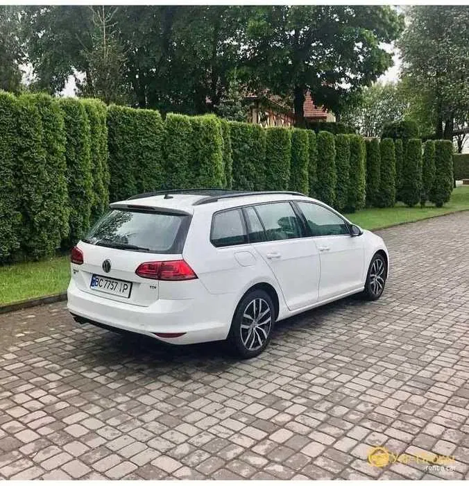 Volkswagen та Ford • Київ — оренда авто