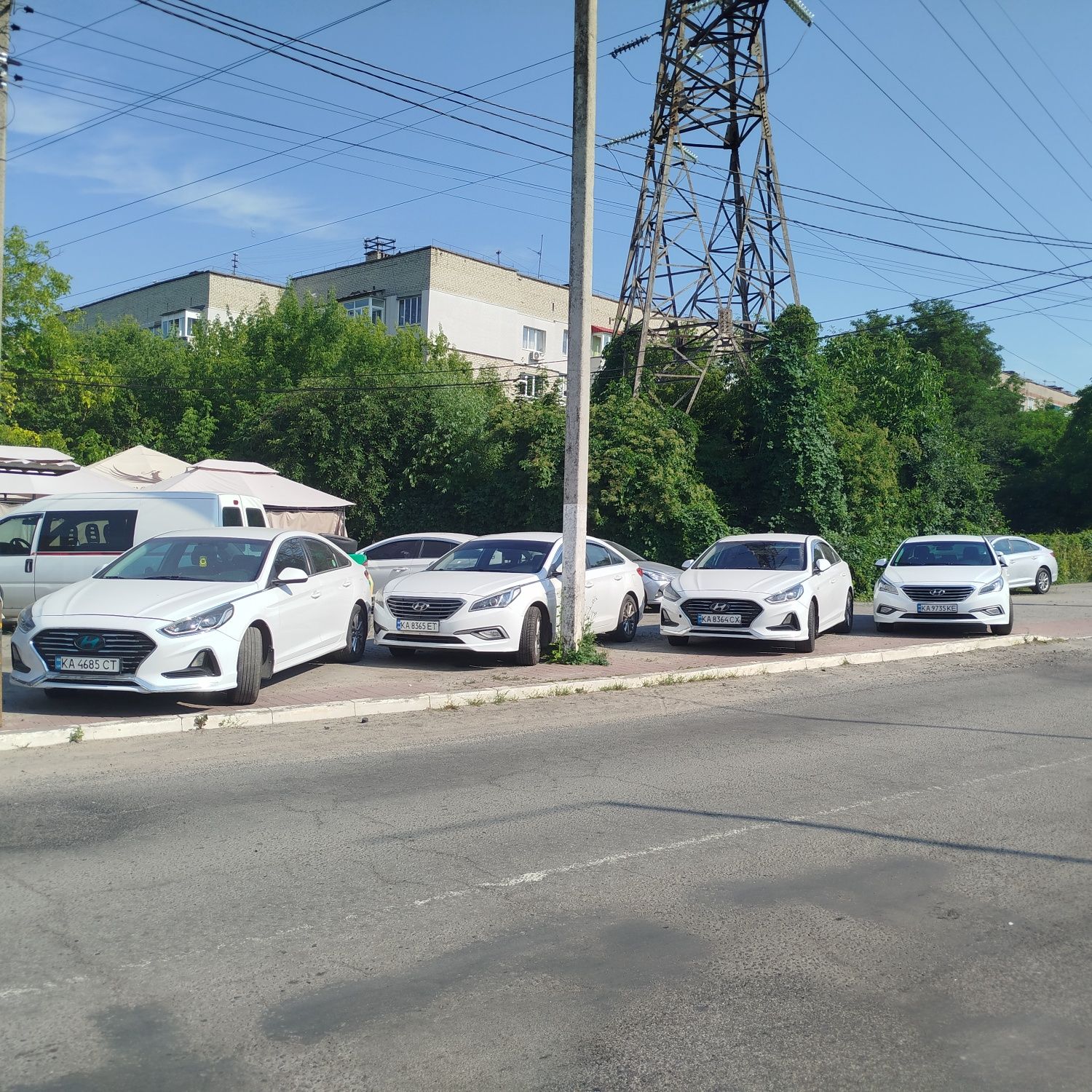 Hyundai в оренду • Лісові Гринівці — оренда авто