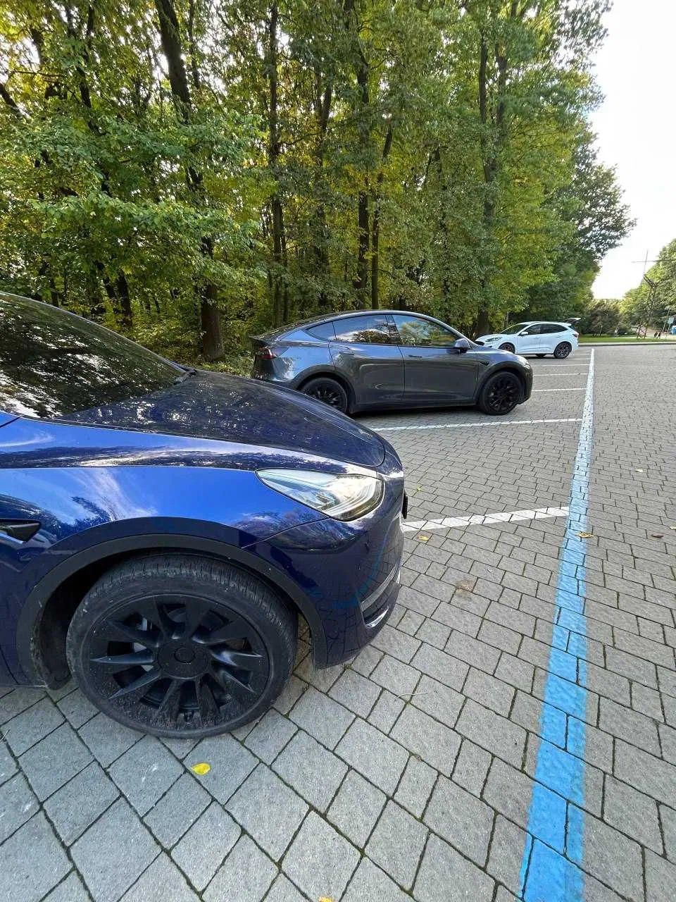 Фото 2