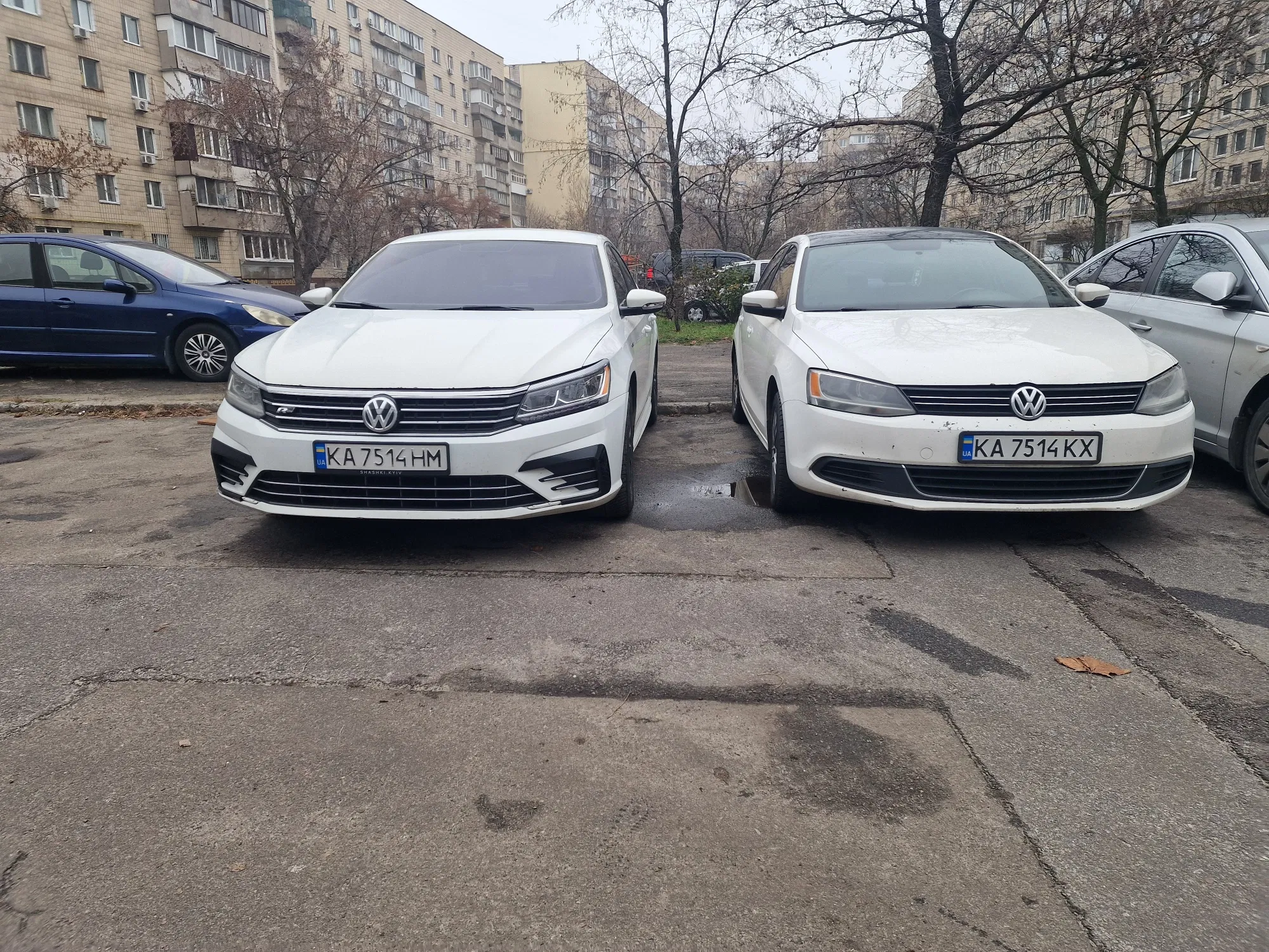 Volkswagen в оренду • Київ — оренда авто