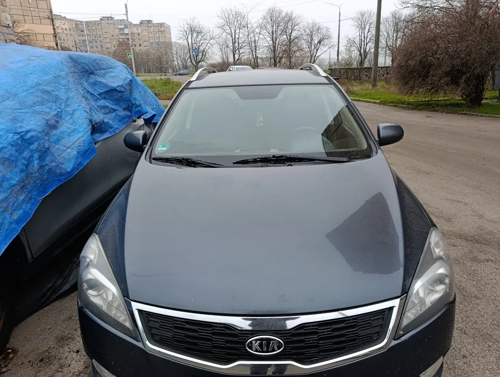 KIA та Hyundai • Київ — оренда авто