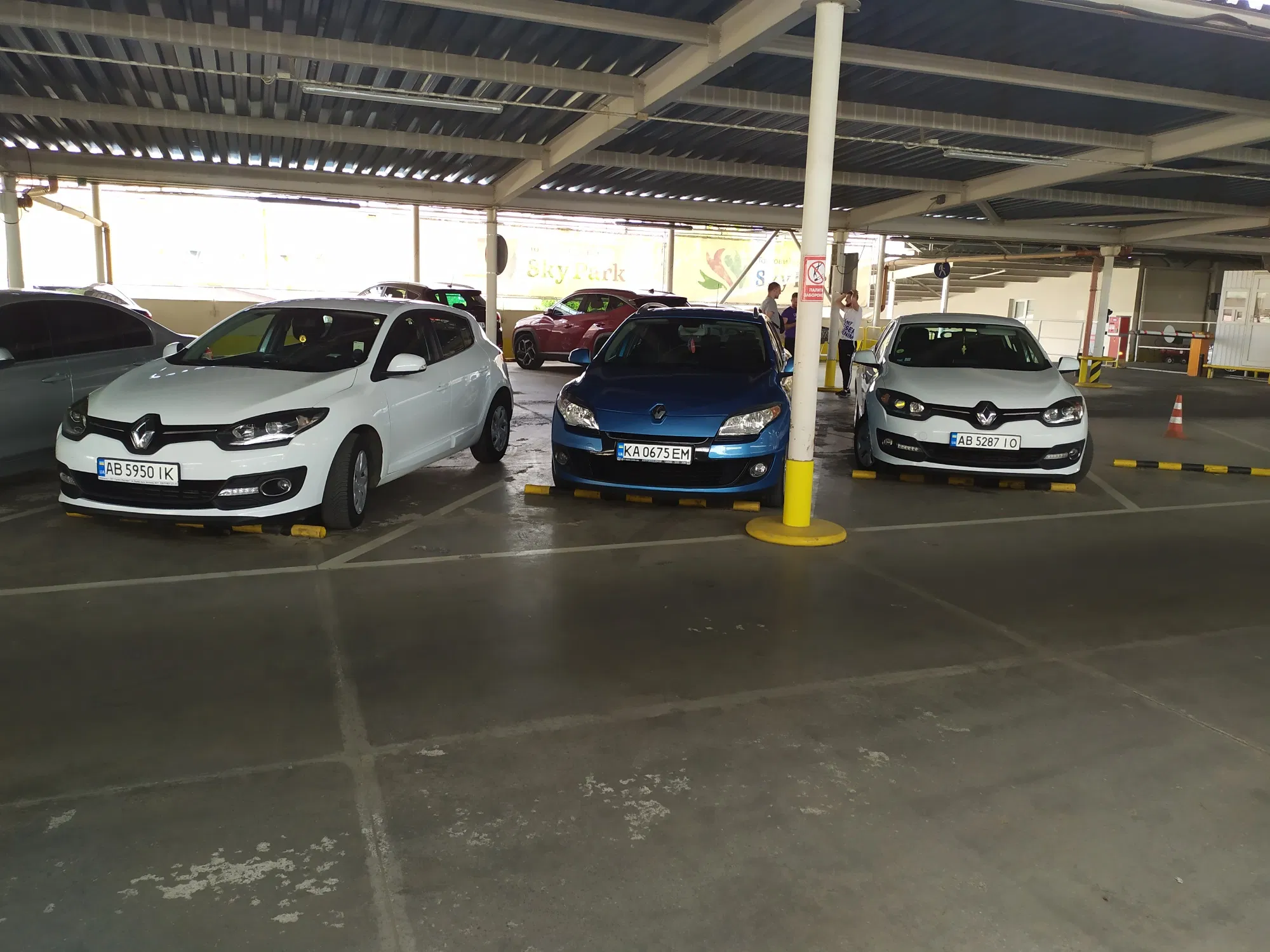 Renault в оренду • Київ — оренда авто