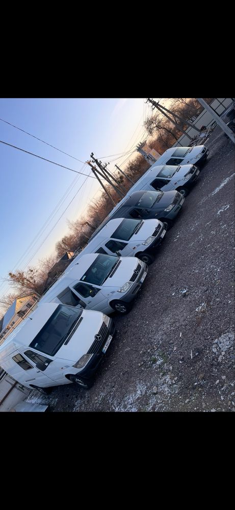 Мікроавтобус Бус