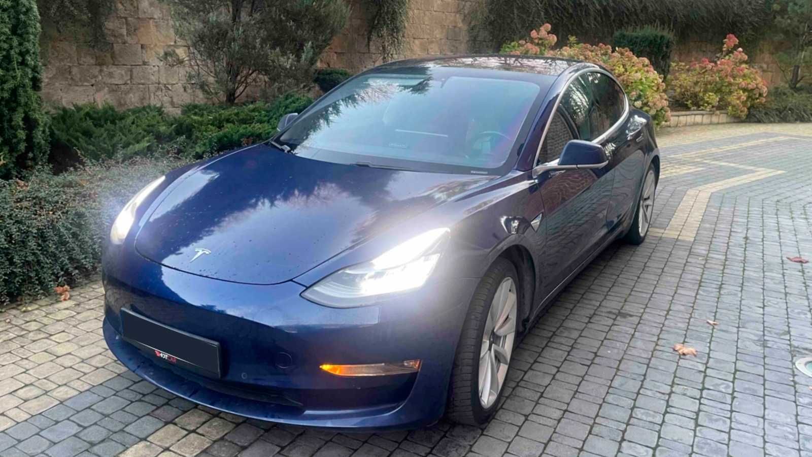 Tesla та Toyota • Львів — оренда авто