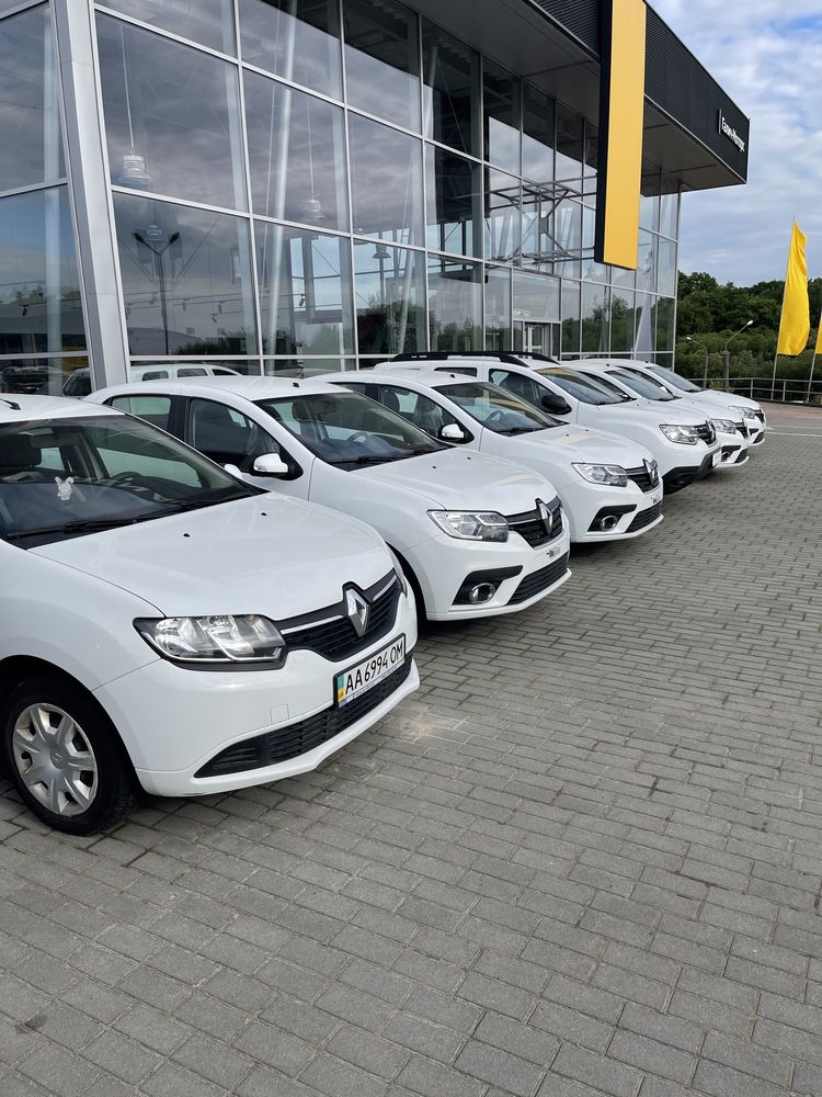 Renault в оренду • Львів — оренда авто
